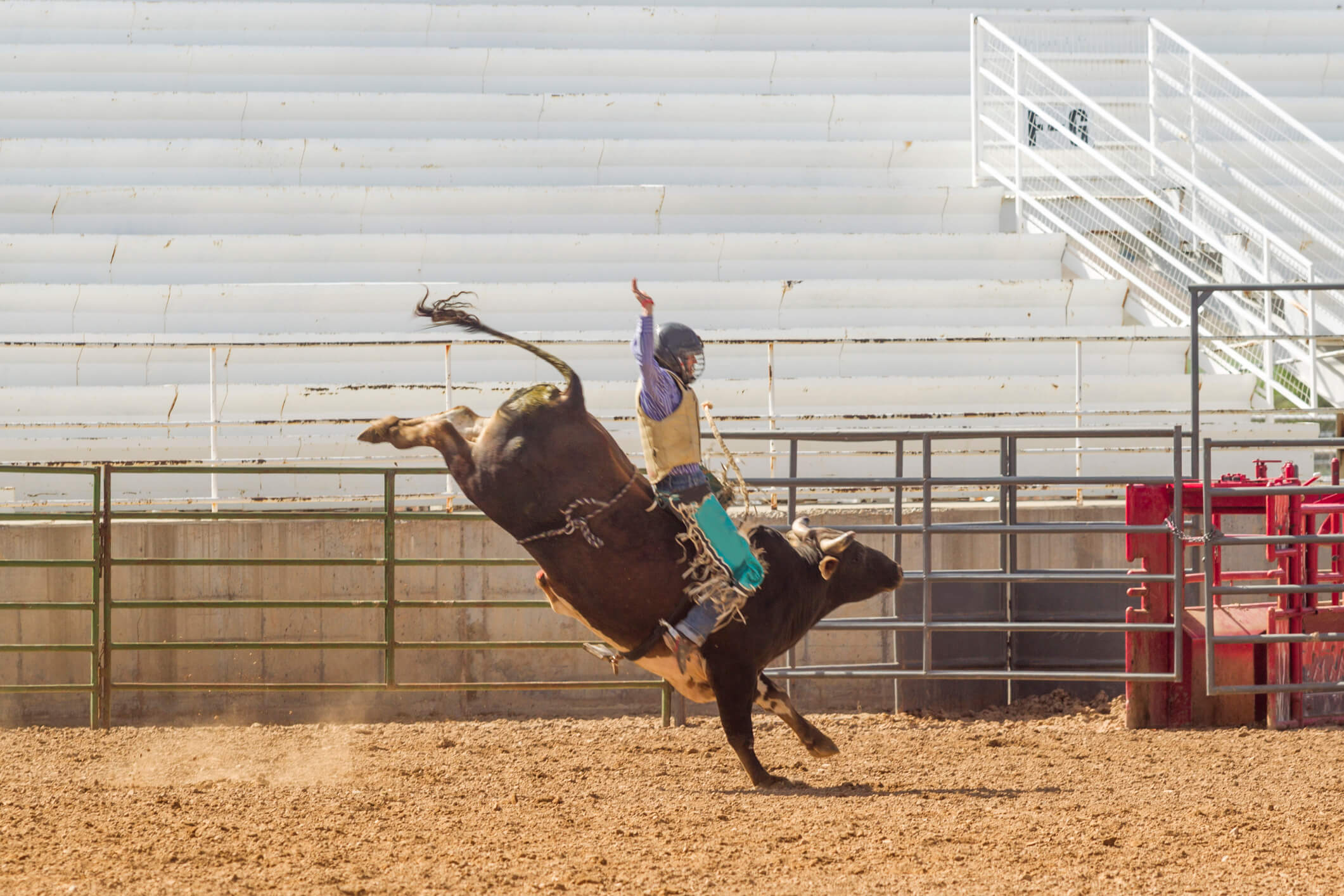 Rodeio, a estrela da Festa do Peão de Barretos - Cavalus