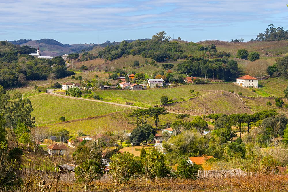 Paisagem rural com campos verdejantes e celeiros típicos do interior