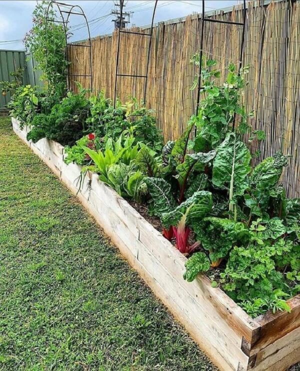 Hortas caseiras exibindo variedade de verduras e ervas frescas em um ambiente rural