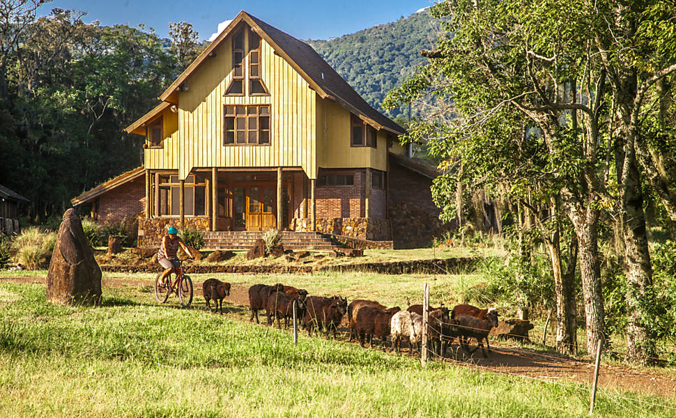 Fazendas De Turismo Descubra O Encanto Do Turismo Rural