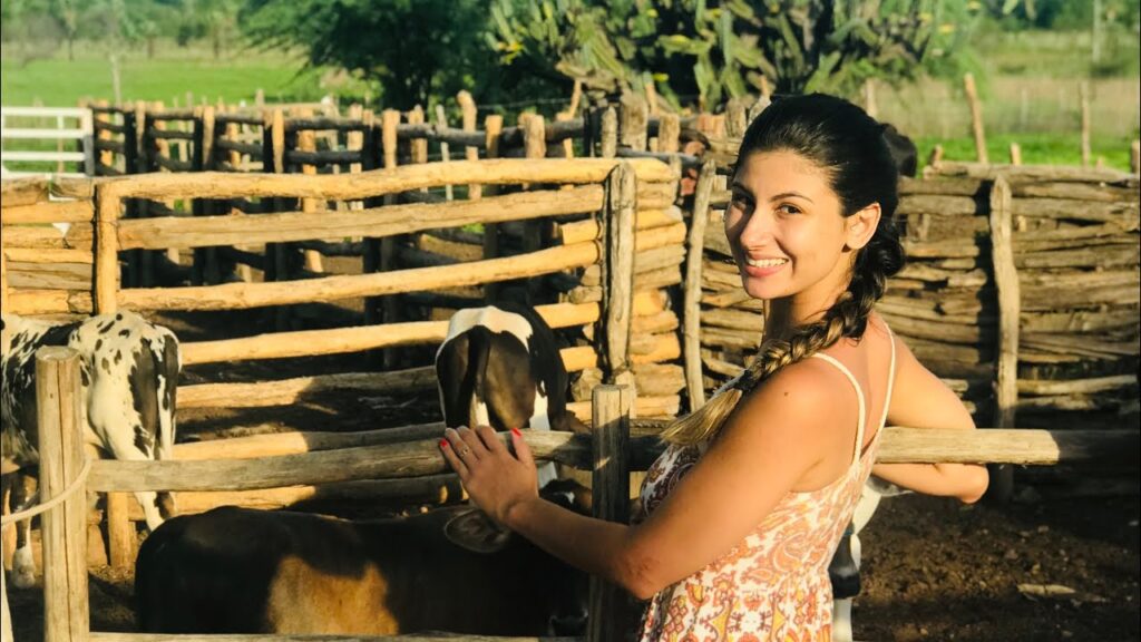 Uma paisagem rural com uma vaqueiro a cavalo em um campo aberto, representando o estilo de vida ranch country.