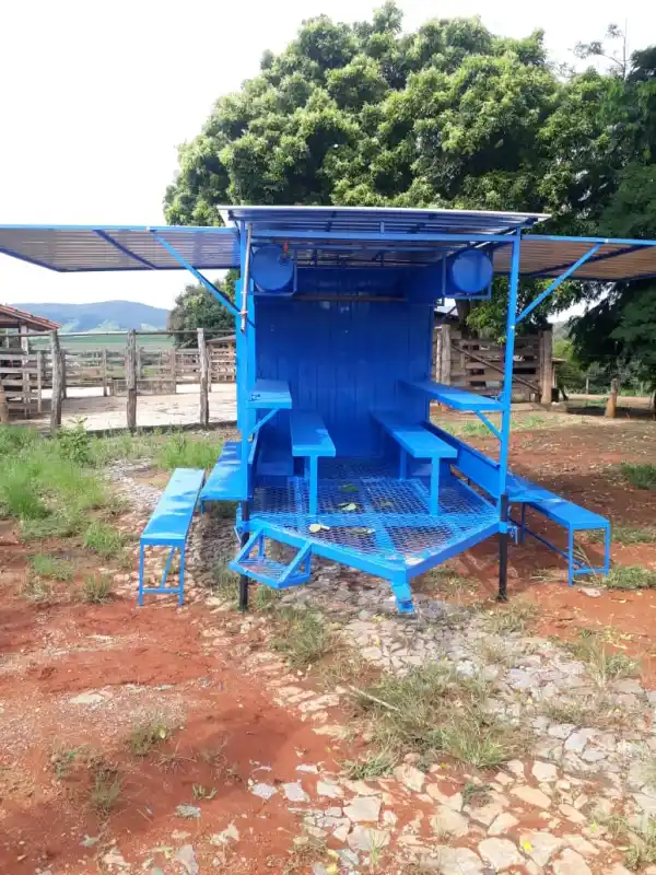 Vivência no Campo mostrando a conexão com a natureza