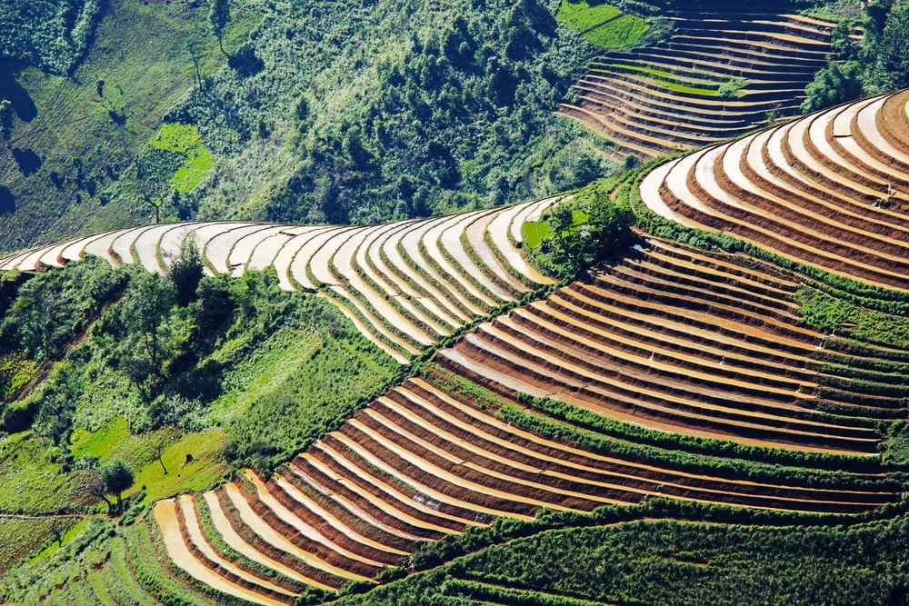 Cultivo agrícola em terraços com fundo de campo e céu azul.