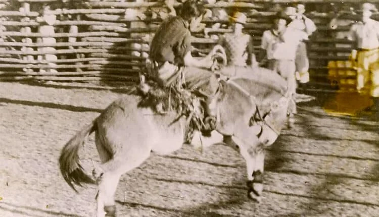 Cavaleiro em ação durante uma competição de rodeio no Brasil.