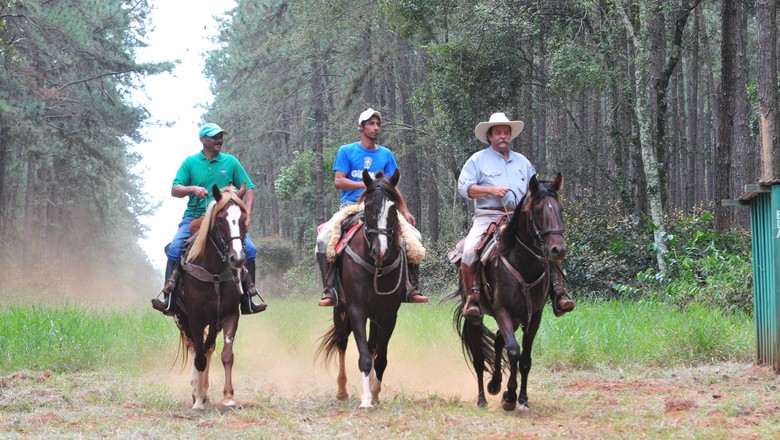 Cavalgada no sertão, com paisagens áridas e cavaleiros em seus cavalos