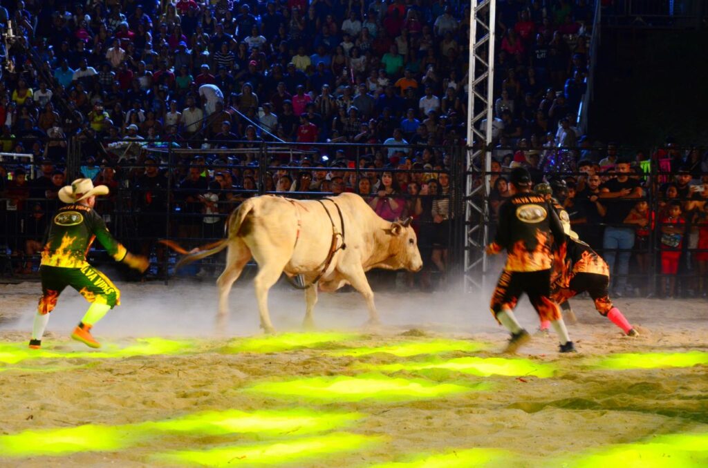 Competição de rodeio mostrando cowboys em ação