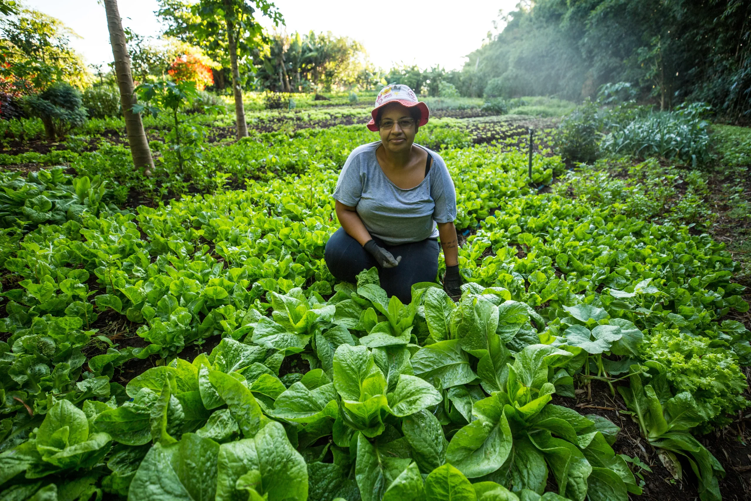 Práticas de agroecologia no campo com uma paisagem rural típica e agricultores trabalhando em harmonia com a natureza