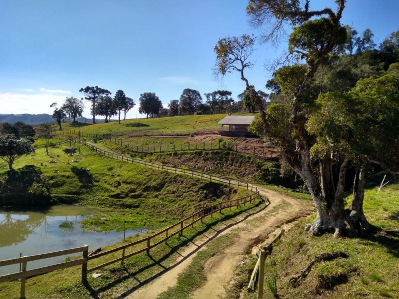 Turismo rural no Brasil com paisagens naturais e tradições country