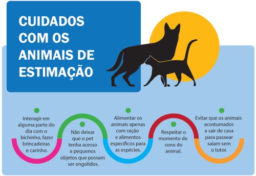 Cuidado com pequenos animais: um cavalo country pastando em um campo aberto.