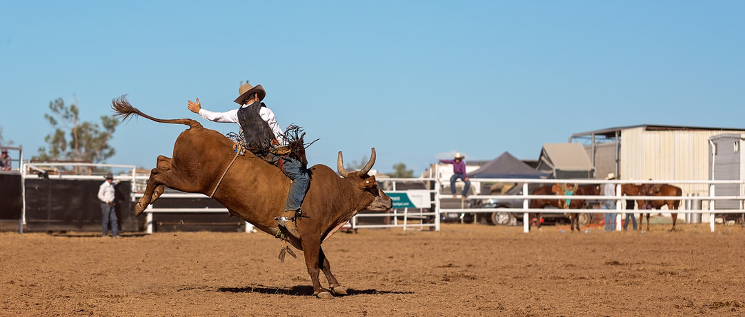 Rodeio tradicional com competidores e público animado