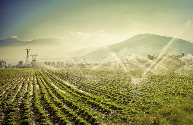 Técnicas de Irrigação em um campo country