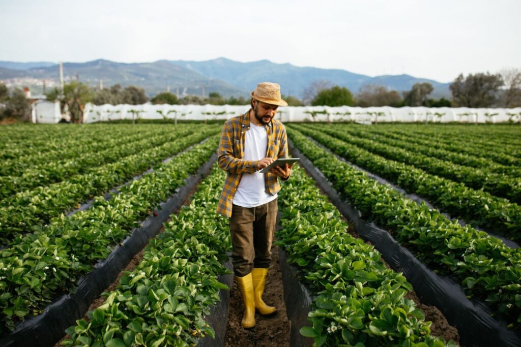 Práticas de sustentabilidade rural em um campo verdejante