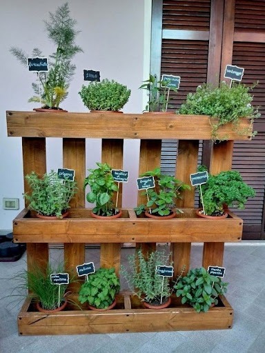 Linda horta caseira com diversas ervas e vegetais frescos cultivados com amor