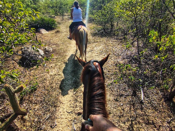 Cavalgada em uma trilha ecológica, mostrando a beleza da natureza e a conexão com o ambiente rural