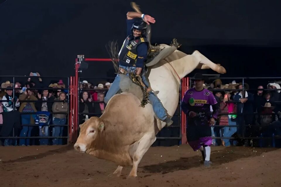 Peão de rodeio montando um touro em um rodeio