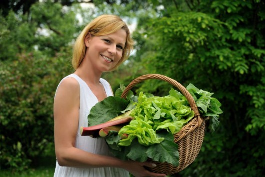 Cultivo de alimentos em uma horta country com vegetais frescos