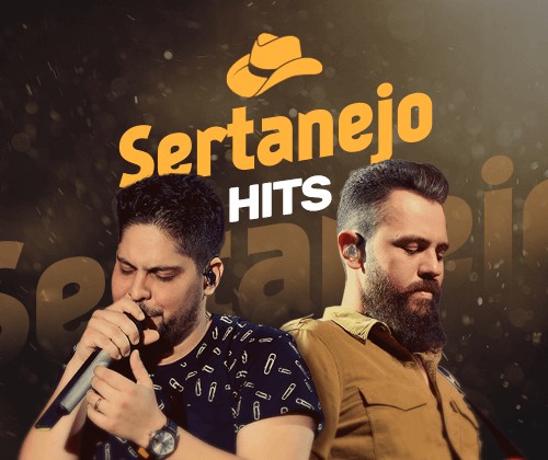 Imagem de artistas sertanejos em show ao vivo