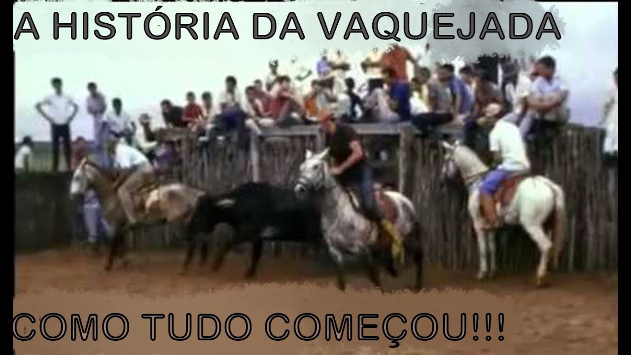 Vaquejada no Brasil, uma tradição emocionante com vaqueiros e cavalos em ação.