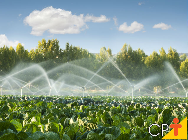 Técnicas de irrigação em lavouras country