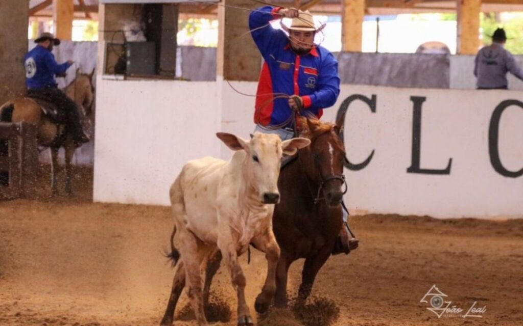 Competição de rodeio com cavaleiros em ação