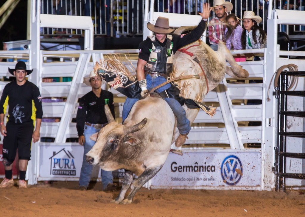 Montaria em Novilhotes no rodeio, um jovem cowboy em ação