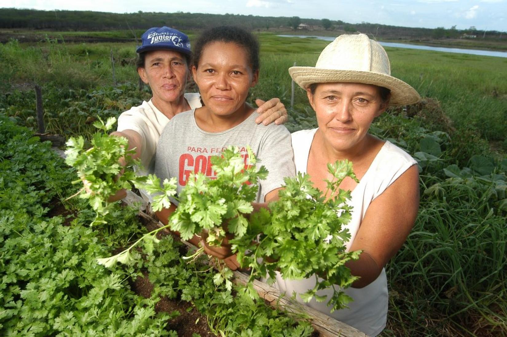 Mulheres rurais empoderadas no campo com ampla paisagem rural ao fundo.