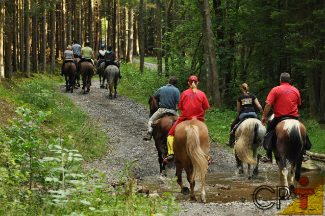 Cavalgada em uma trilha rural com cowboy e natureza ao fundo