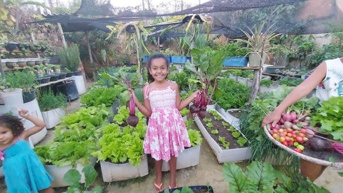 Belo cultivo de frutas e hortas em vasos, ideal para espaço rural.