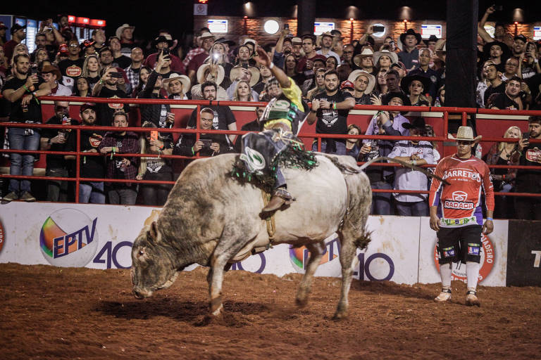 Festa do Peão de Boiadeiro de Barretos em celebração country