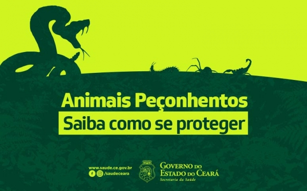 Cuidados com Animais Peçonhentos no Campo