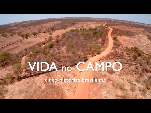 Cenas da vida rural com campos verdejantes e gado pastando sob o céu azul.