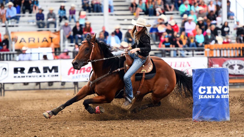 Cavaleiro em uma competição equestre no Brasil, simbolizando a paixão pela cultura dos cavalos.