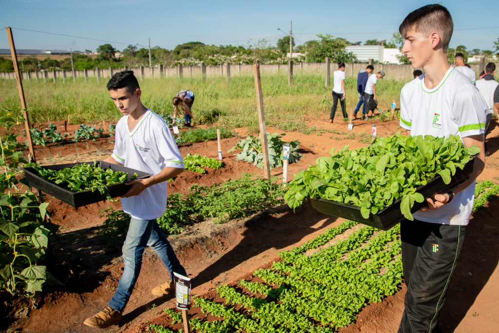 Um fazendeiro country em um campo verde, usando técnicas de agropecuária modernas.