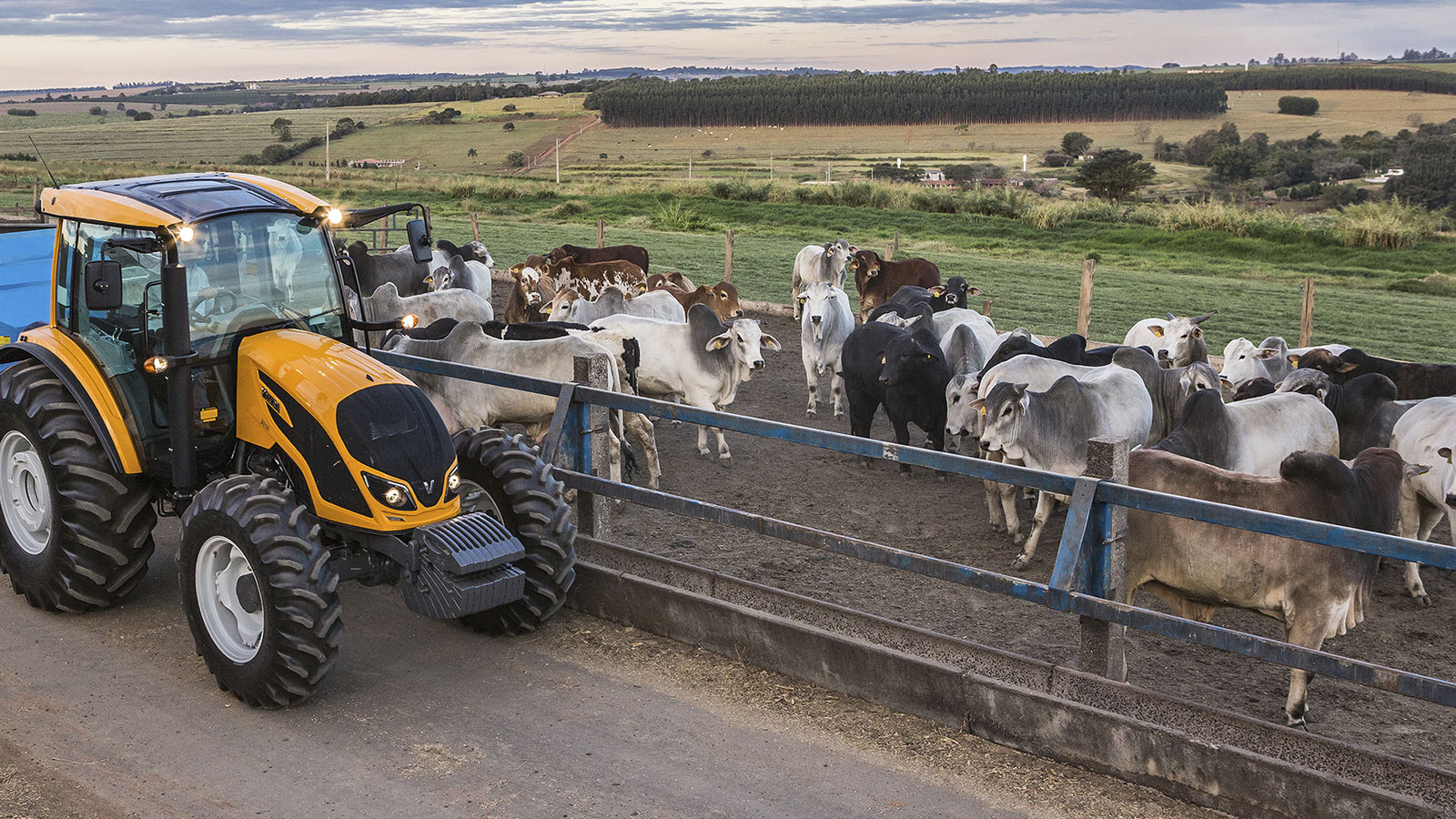 Equipamentos modernos para pecuária, essenciais para o sucesso rural