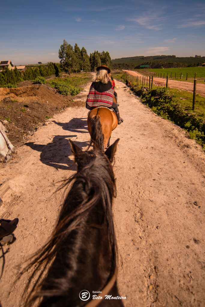 Cavalgada na natureza com cavaleiros e cavalos em um cenário rural