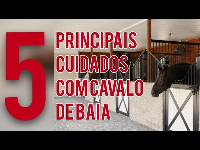 Cuidado com Cavalos em Baias