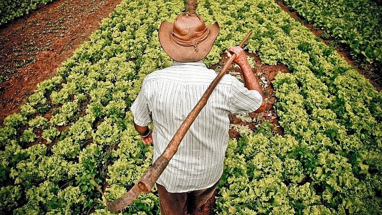 Cultivando a terra com amor: Agricultura Familiar no Brasil