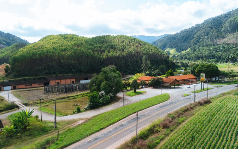 Turismo rural na Fazenda Pindobas, mostrando a beleza da natureza e atividades do campo.