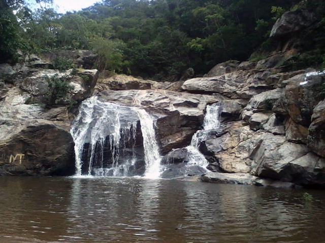 Trilhas Ecológicas na Paraíba exibindo a beleza natural e a fauna local