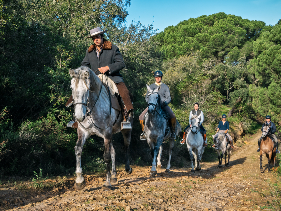 Cavalo trotando em uma paisagem rural, simbolizando o turismo equestre.