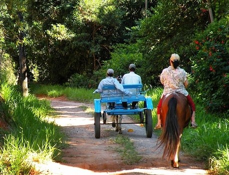 Cenário rural com pastagens e um céu azul, representando a vida no interior.