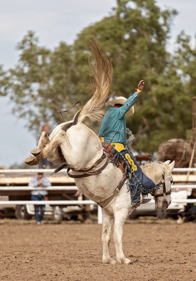 Cavaleiro montado em um bronco durante um rodeio country na Austrália, capturando a essência da tradição country.