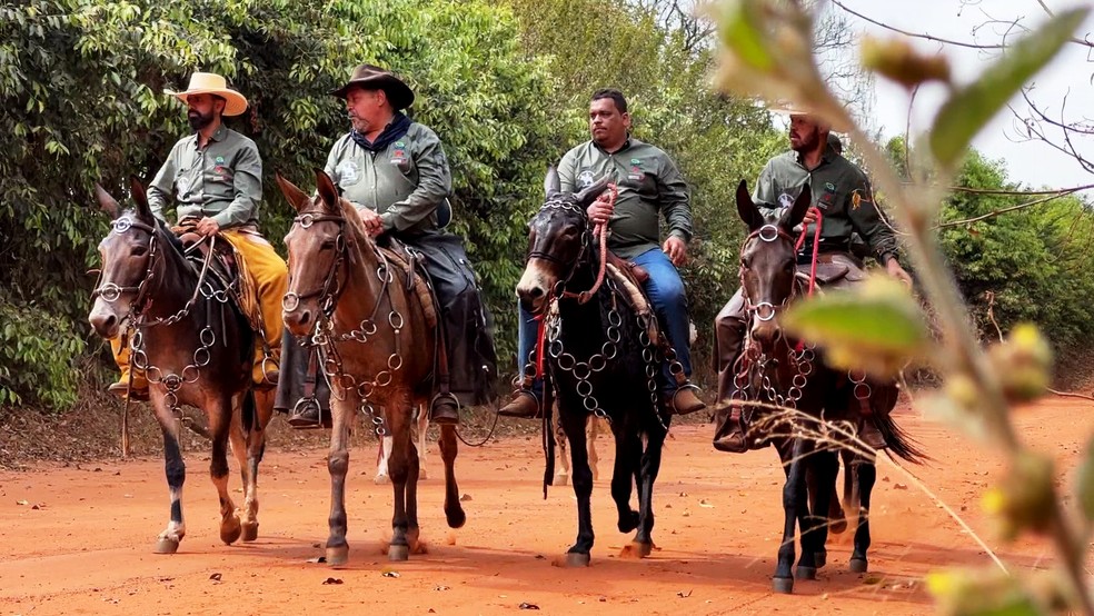 Cavalgadas no campo ao pôr do sol, rodeadas por paisagens rurais exuberantes.