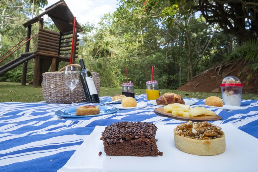 Piquenique na fazenda com vista para a natureza verdejante, mesas decoradas com toalhas xadrez e cestas de frutas frescas.