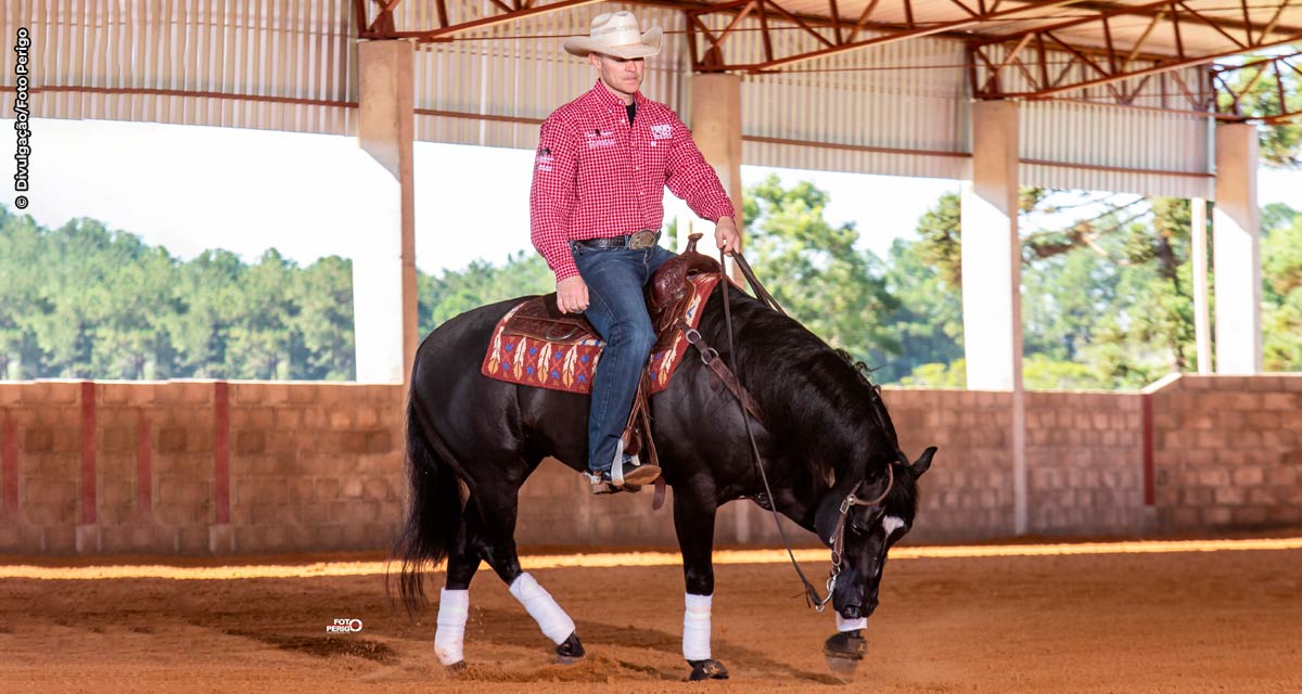 Cavalo de trabalho em ação na agropecuária, simbolizando a força e tradição do trabalho rural.