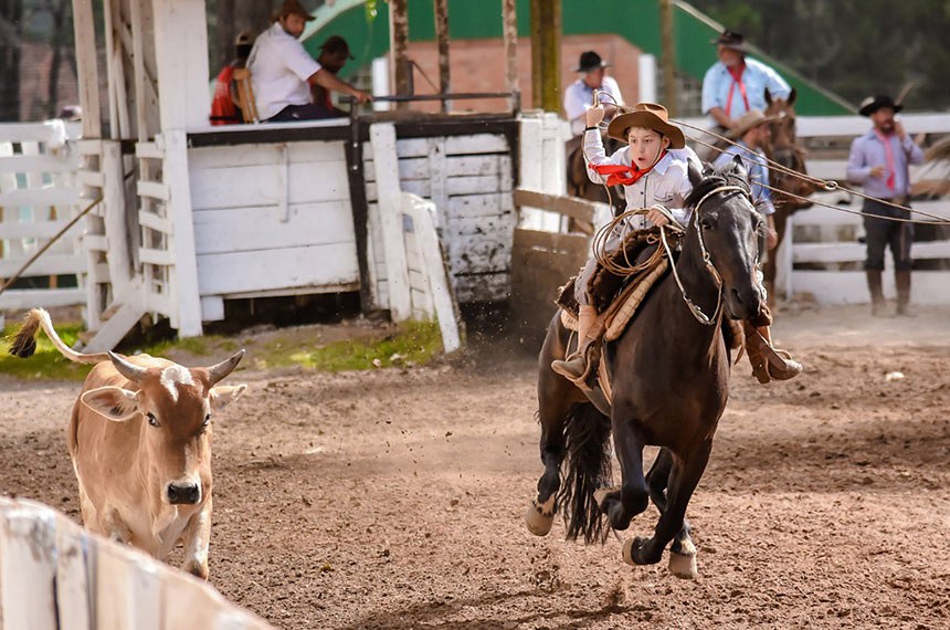 Cavaleiro em um rodeio country mostrando suas habilidades no laço.