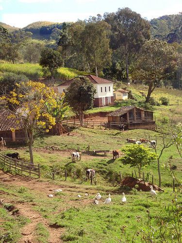 Vista panorâmica de uma fazenda típica do campo, com vastos campos verdes, animais pastando e uma casa rústica ao fundo.