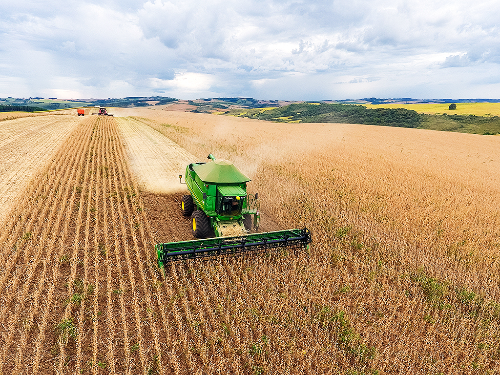 Plantação de milho e soja em uma paisagem rural country