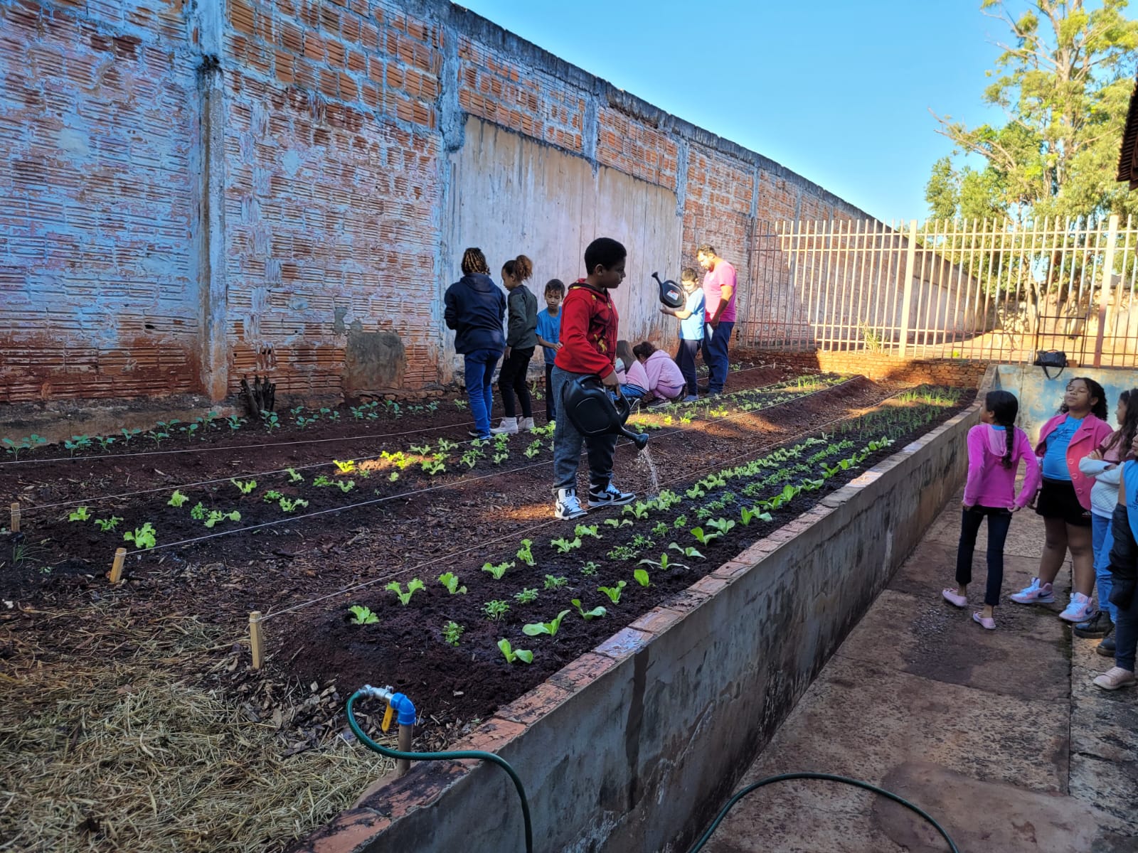 Horta comunitária em ambiente escolar com crianças cuidando das plantas