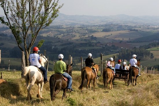 Crianças brincando em um campo verde, cercadas por árvores e flores, simbolizando atividades de lazer ao ar livre.